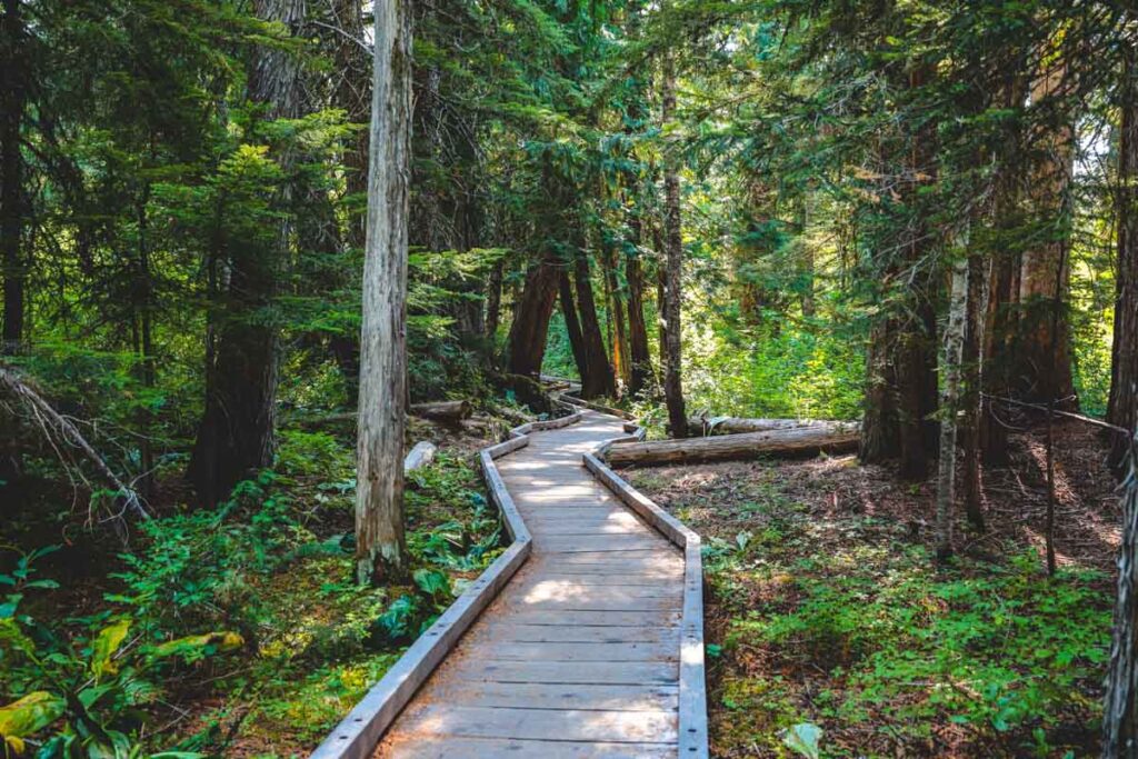 Wooden walkway on a trail around Trillium Lake, Oregon