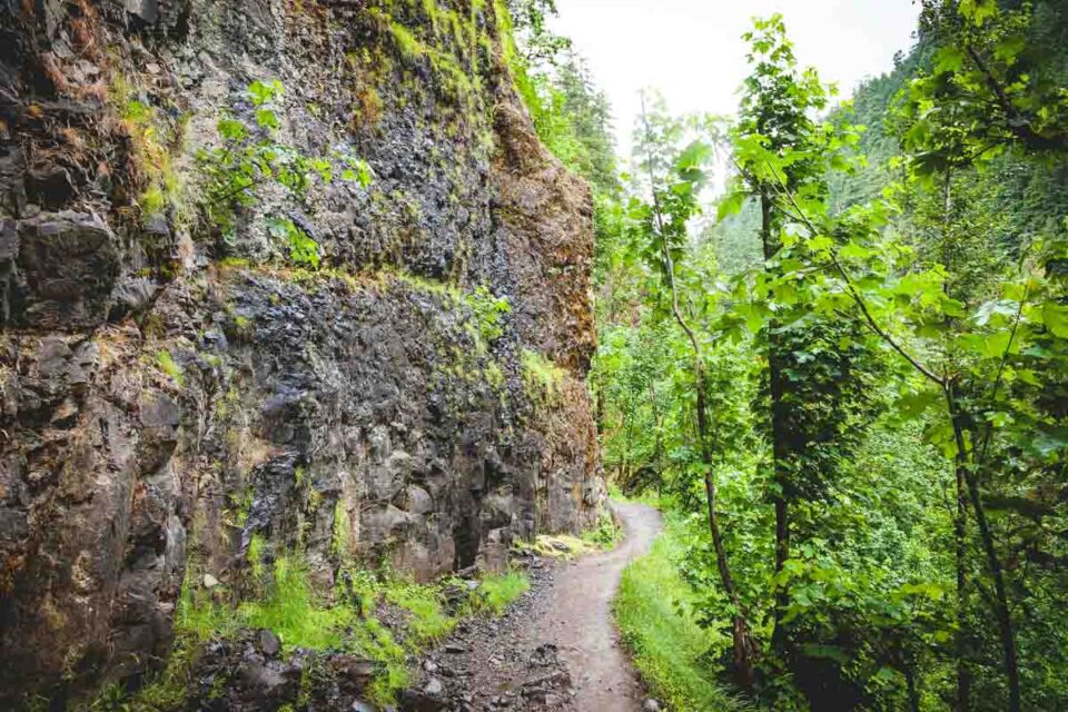 17 Amazing Spots to Go Camping on The Columbia River