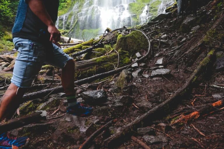 Hiker on the Proxy Falls Trail