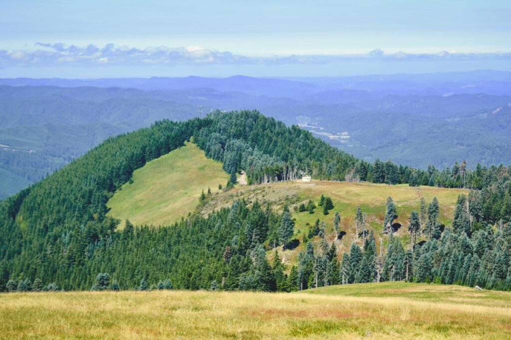 Mary's Peak in Siuslaw National Forest