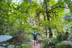 Oxbow Regional Park