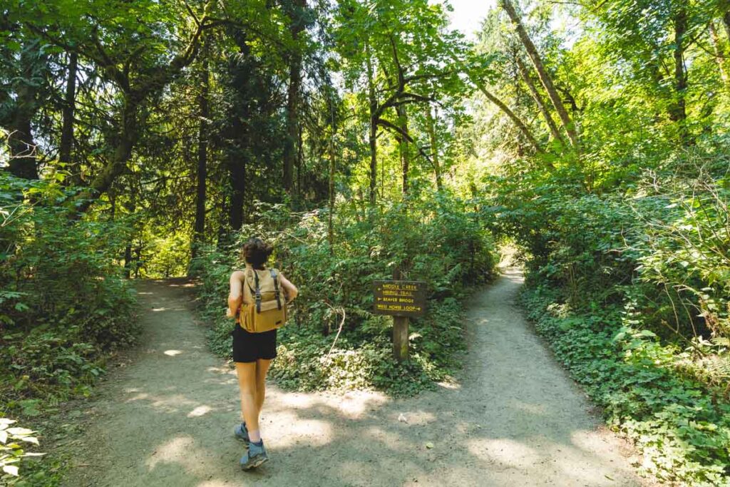 Hiking trails in Tryon Creek State Natural Area