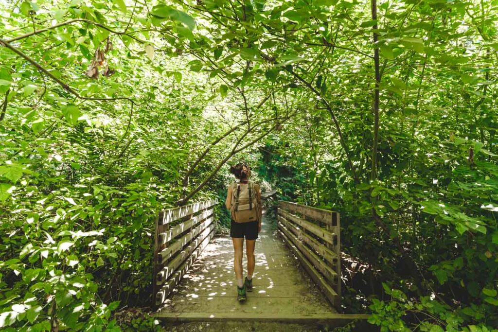 Hiker on leafy bridge in the Tryon Creek State Park