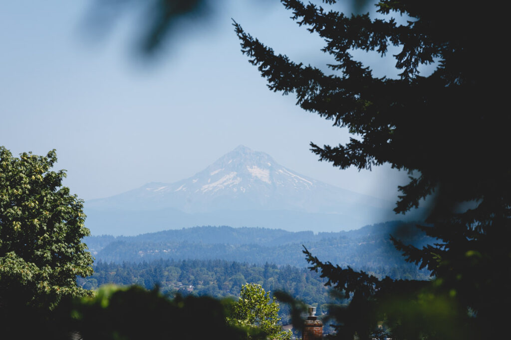 View of Mount Hood from Marquam Nature Park hiking in Portland.