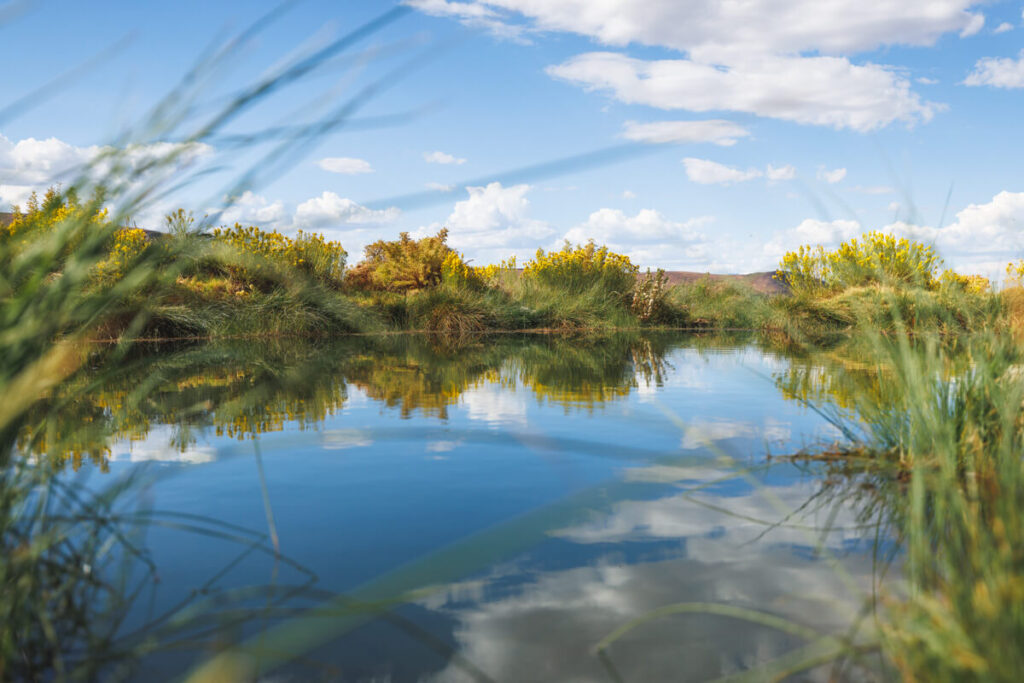 Landscape reflection at Willow Creek Hot Springs