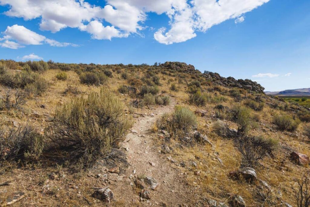 Trail to viewpoint at Willow Creek Hot Springs