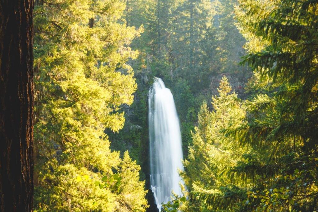 Mill Creek Falls from the Prospect State Scenic Viewpoint, one of the things to do in Klamath Falls