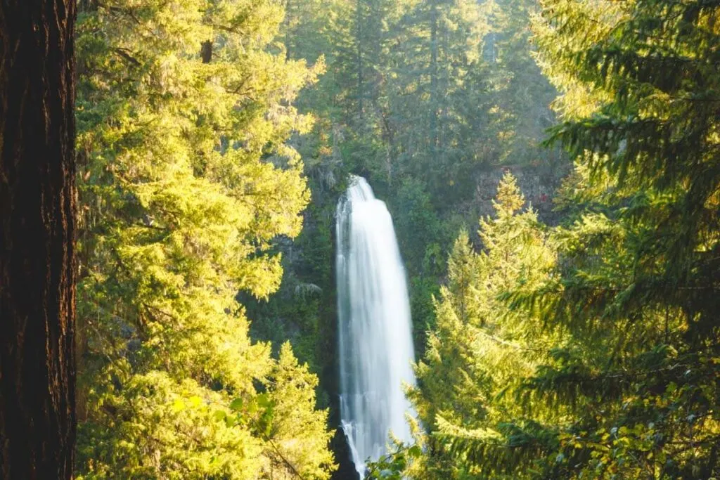 Plan a day to see Mill Creek Falls in Southern Oregon.