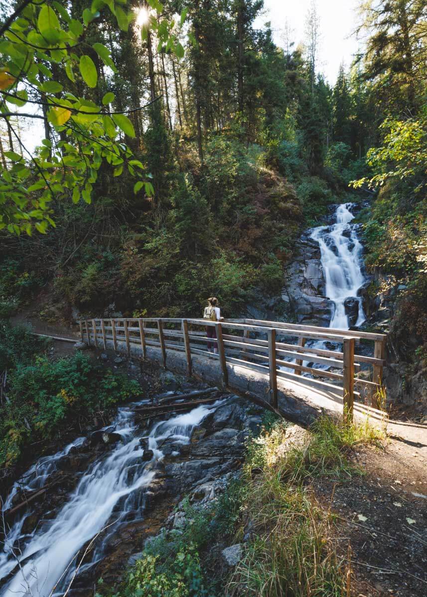 Nina in a backpack admiring BC Falls from a large wooden bridge that spans the waterfall in the forest.