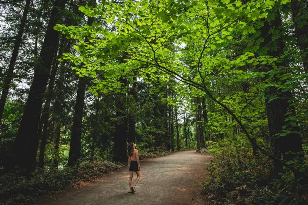 Hiker in Lacamas Park