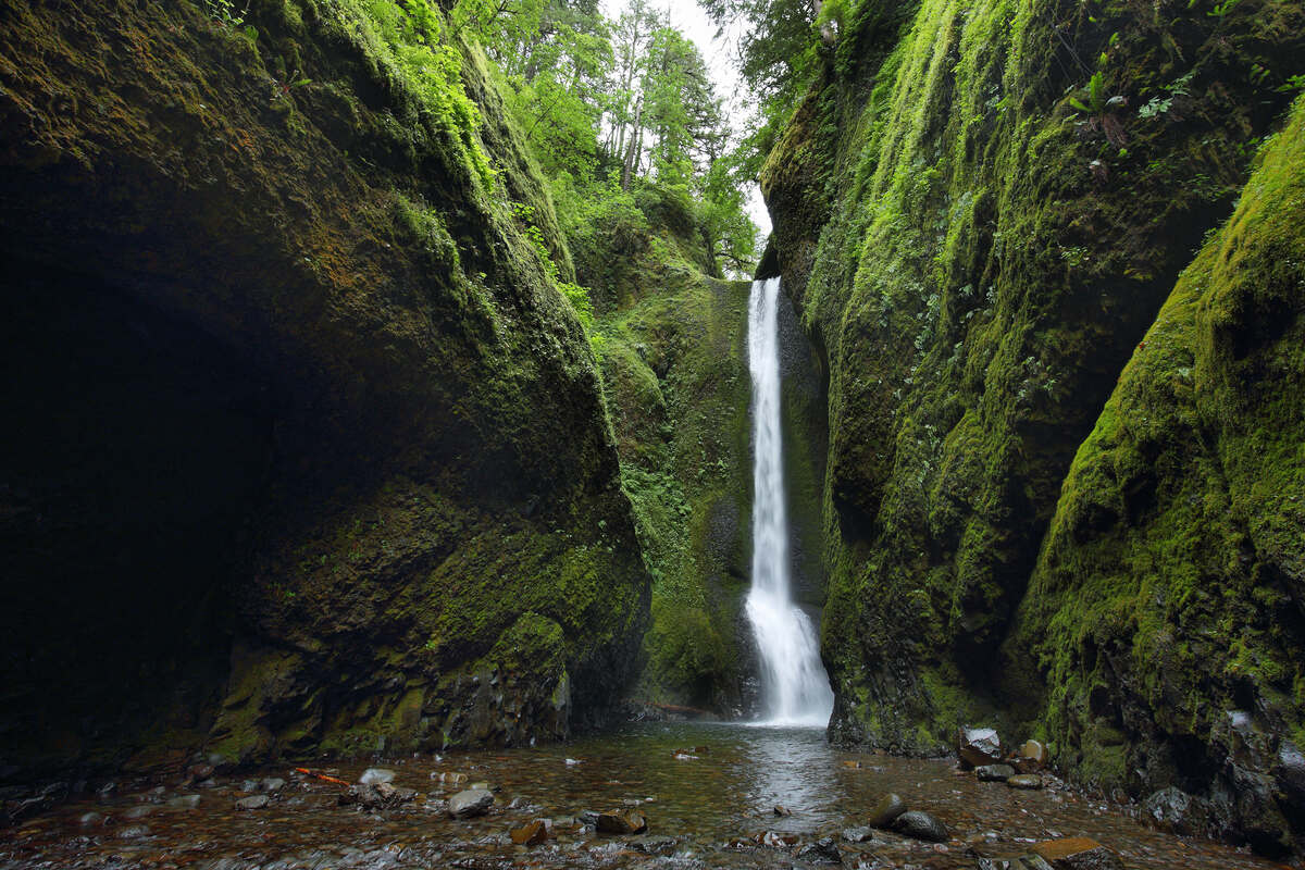 The lower falls at Oneotaga Gorge in Portland