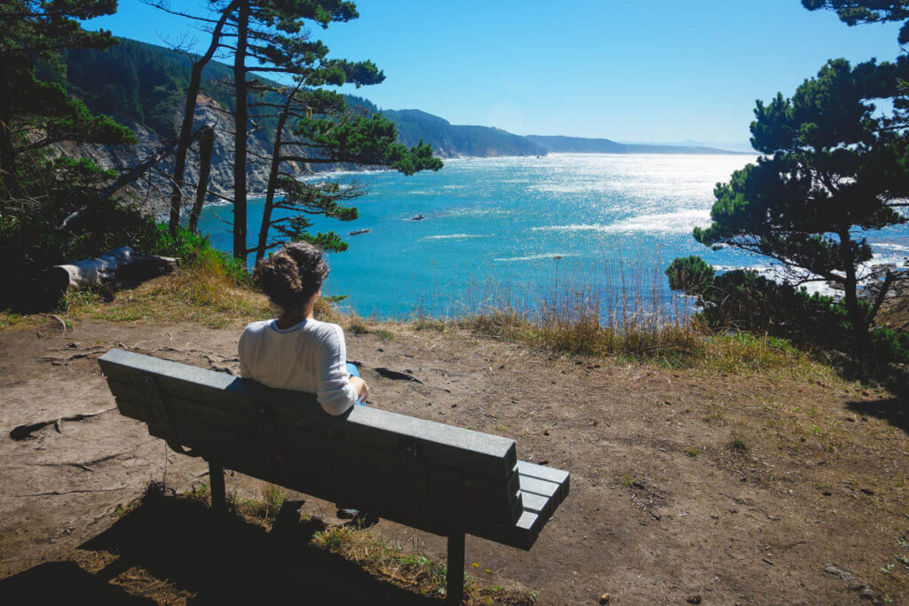 Cape Arago State Park.