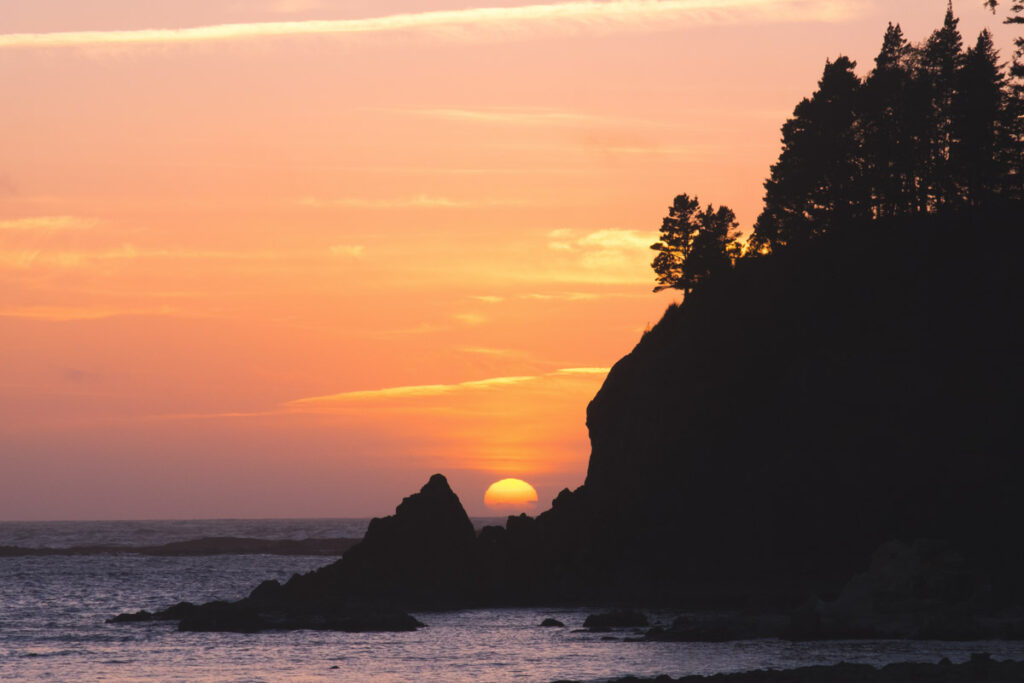A beautiful sunset silhouetting the cliff and pine trees at Coos Bay.