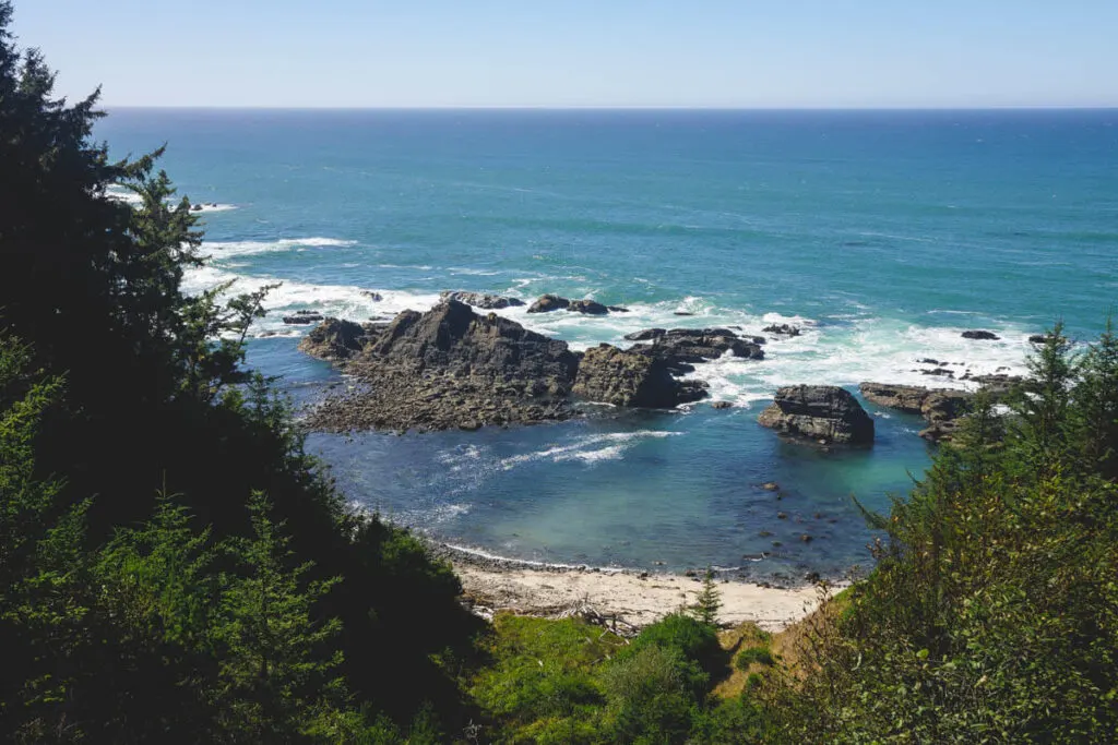 View of the tree line and ocean from Simpson Reef Overlook in Cape Arago State Park.