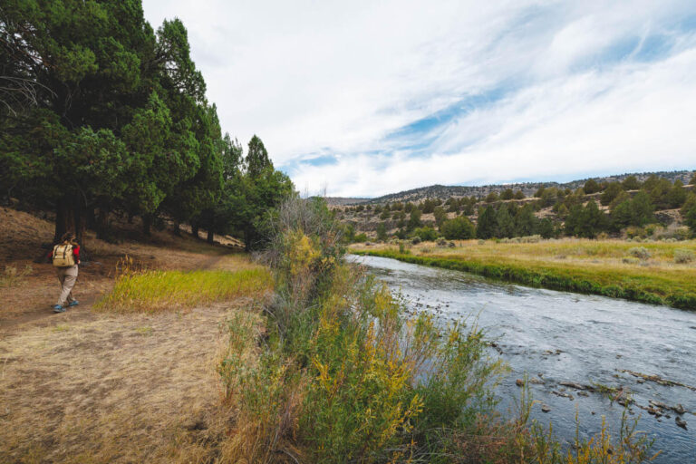 A women walking along the Blitzen River trail in Steens Mountain with the river on her right and the tree line on her left.