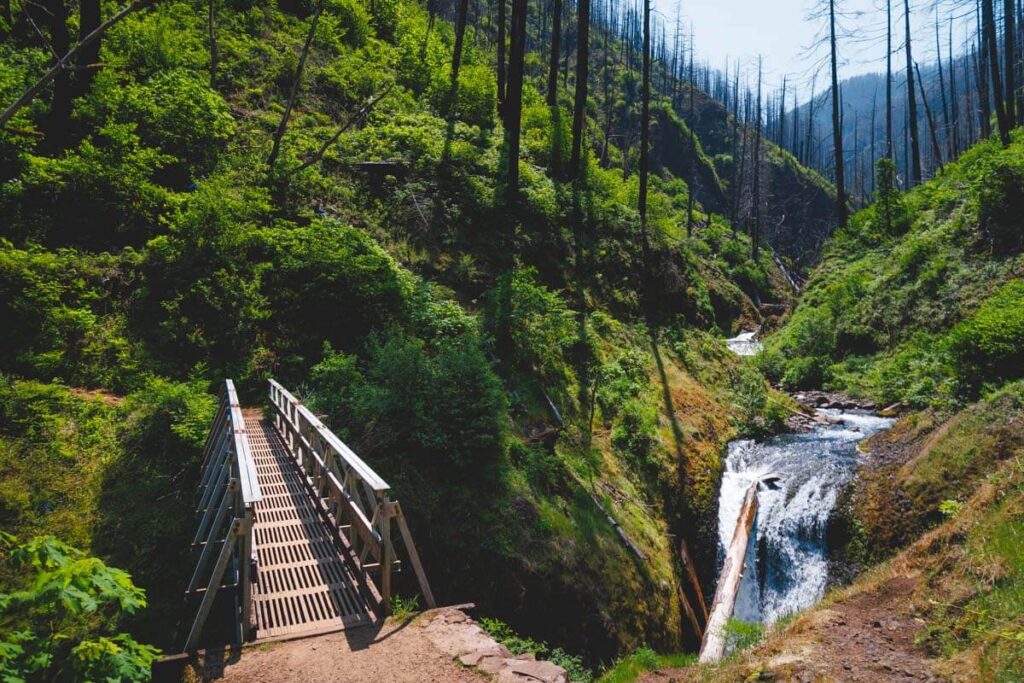 A bridge beside a waterfall crossing Oneonta Gorge in Oregon.