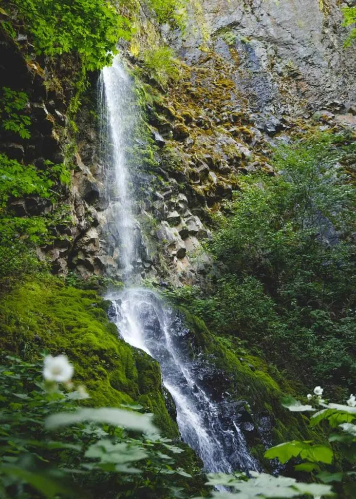 Cabin Creek Falls in the middle of nature in Columbia River Gorge.