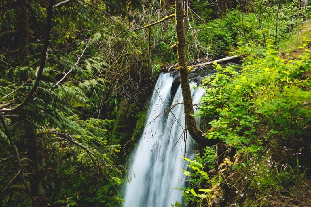 EVERYTHING to Know About Oregon's Most FAMOUS Waterfall!