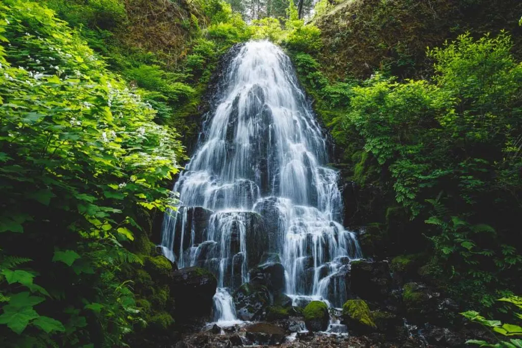 A magical long exposure of Fairy Falls nestled between lush green trees and buses along Wahkeena Falls Trail.