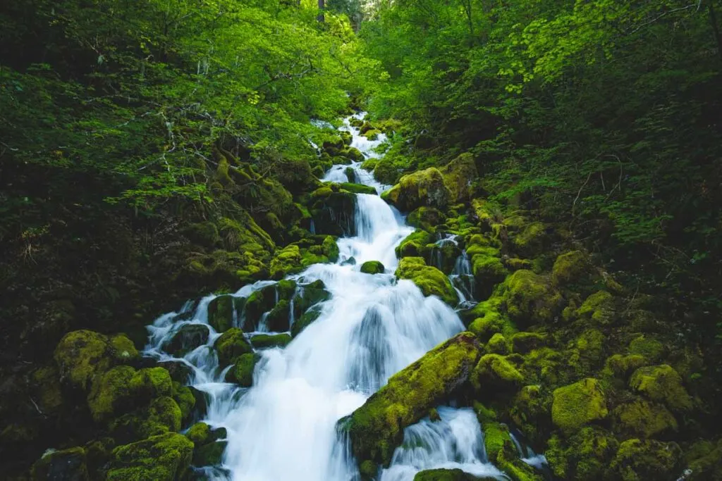 A long exposure of the beautiful Falls Creek Falls surrounded by lush a vibrant greenery.