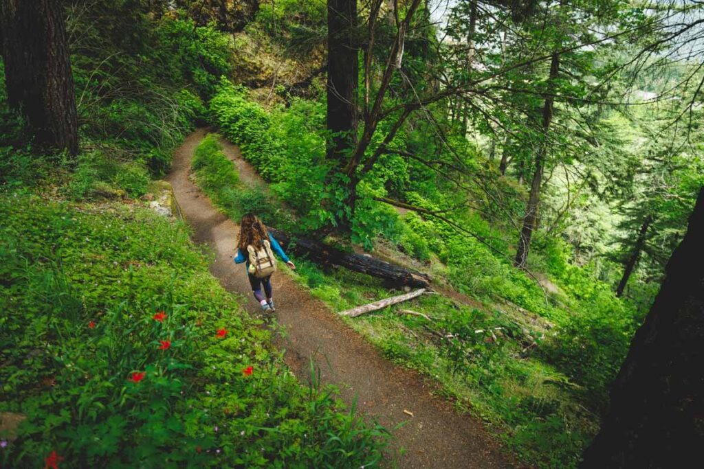 Female hiker walking down switchbacks surrounded by forest and red flowers along the Wahkeena Falls trail.