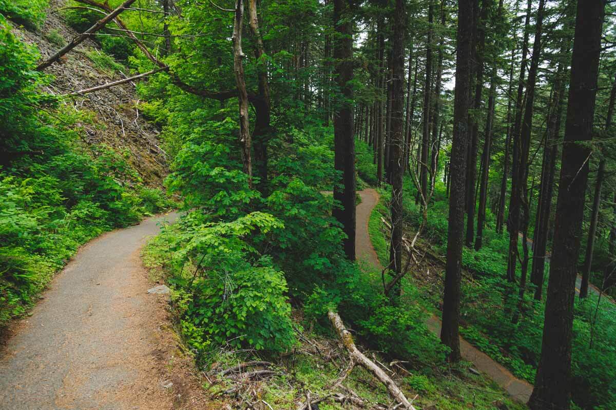 Forested switchback trail at Wahkeena Falls