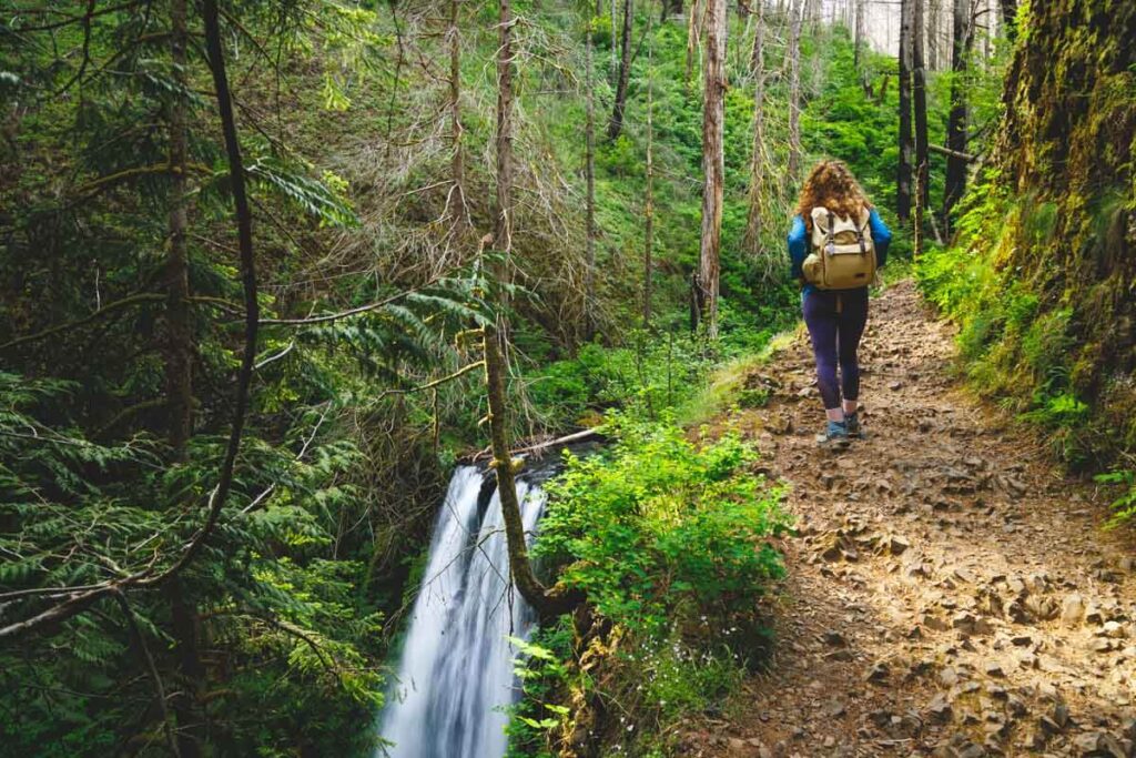 A female hiker paused on the trail edge in the forest to look down at Ecola Falls in Columbia River Gorge.