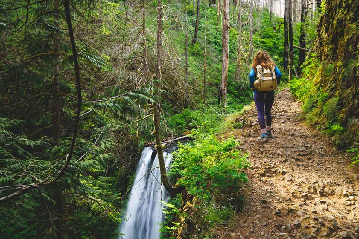 Multnomah Falls Hike: EVERYTHING You Need to Know