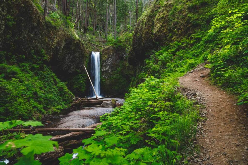 An empty trails that runs up the side of Weisendanger Falls in the middle of the forest.