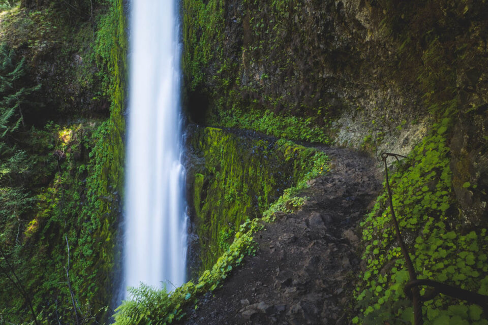 27 Oregon Waterfall Hikes That'll Leave You Gobsmacked! - Oregon is for ...