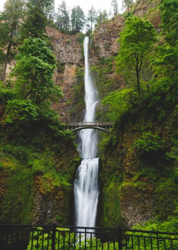 A full length view of the huge two-tiered Multnomah Falls with the bridge in front of it and trees either side.