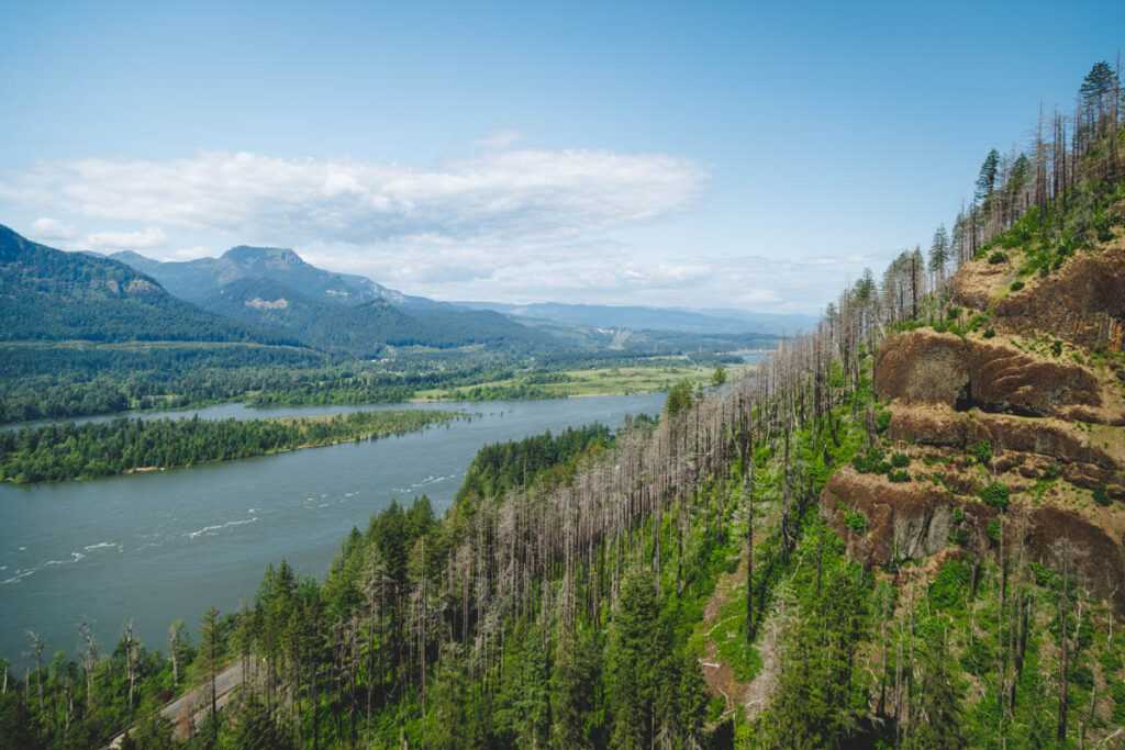 A view looking over Columbia River Gorge.