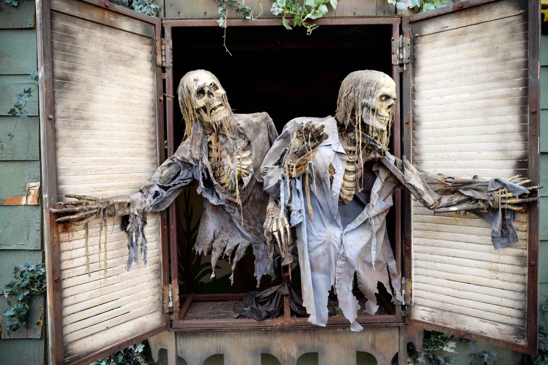 Skeletons popping out of a window in a haunted house.