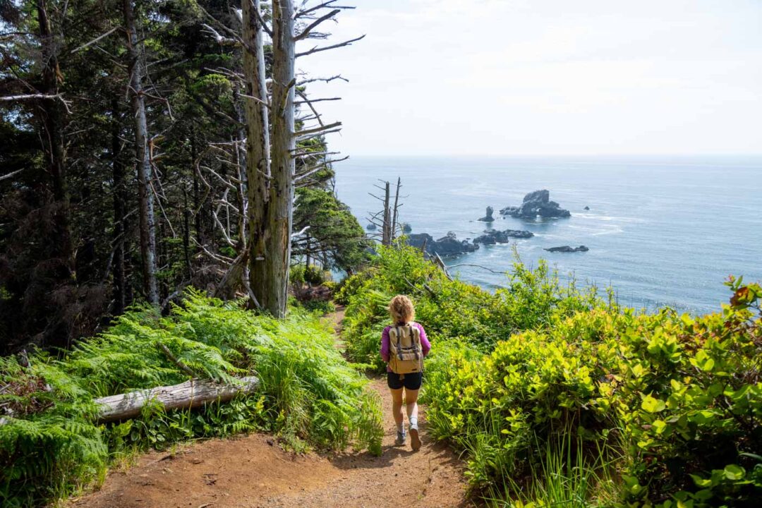 Your Guide to Ecola State Park on the Oregon Coast - Oregon is for ...