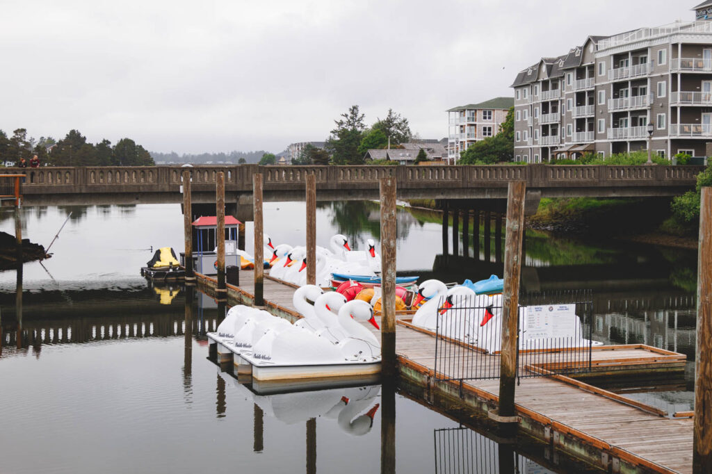 Swan peddle boats lined up on a dock in Quatat Park near Seaside.