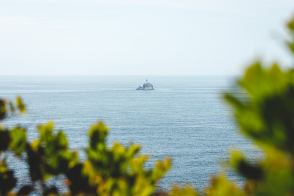 Tillamook Lighthouse on a rock in the ocean framed by bushes.