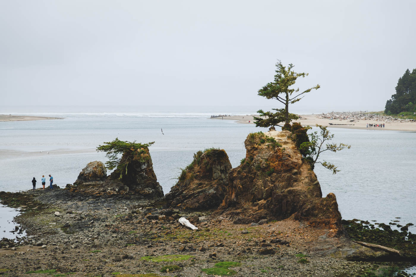 Tourists standing on Siletz Bay besides rock formations on an overcast day.