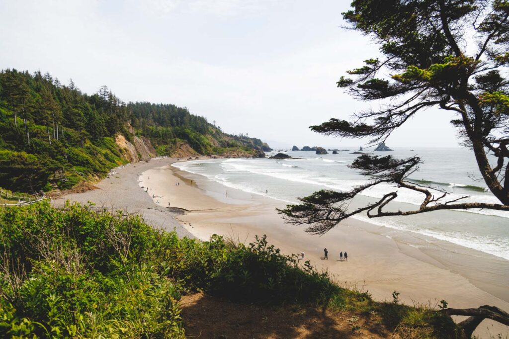 A view of Indian Beach from the Catslop Loop Trail in Ecola State Park.