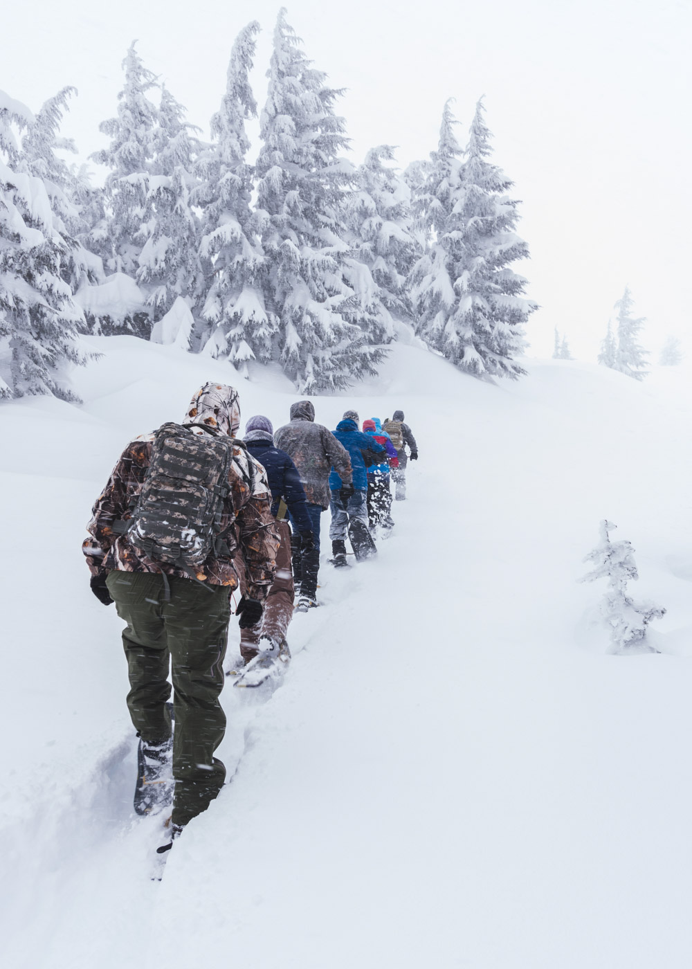 A group of people in a line snowshoeing on Mount Bachelor.