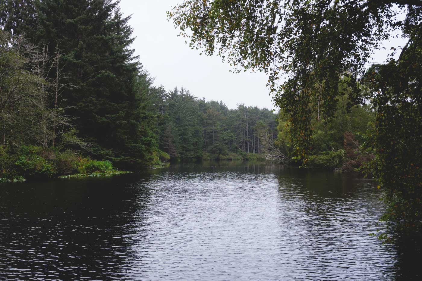 A lake surrounded by trees and forests in Beaver Creek State Natural Area.