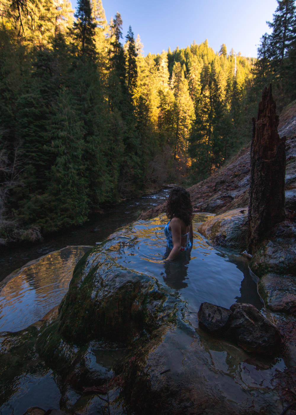 Nina relaxing in Umpqua Hot Springs at golden hour in the forest.