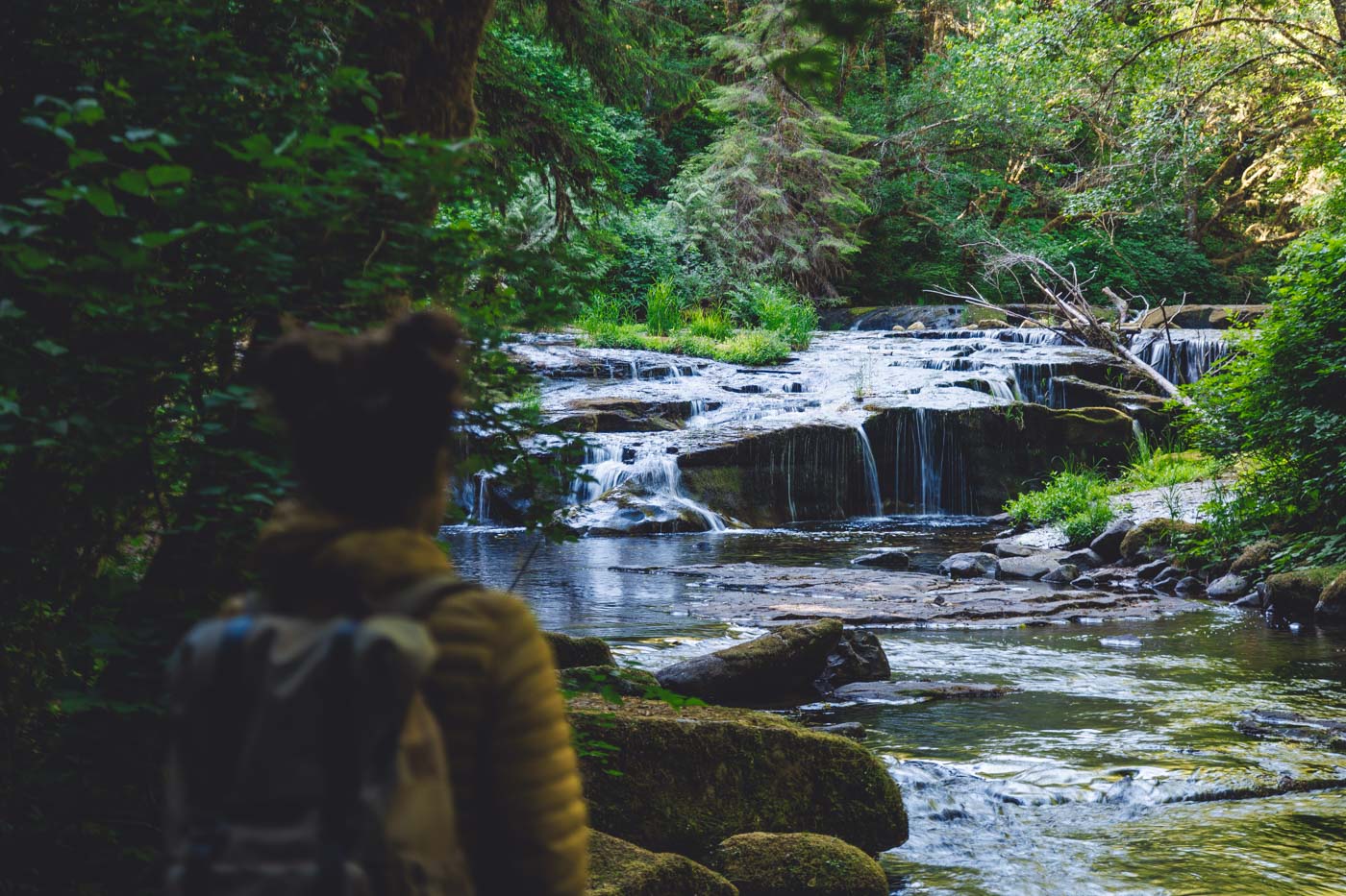 Nina in a yellow puffer jacket overlooking a short waterfall along the Sweet Creek Falls trail in the forest.