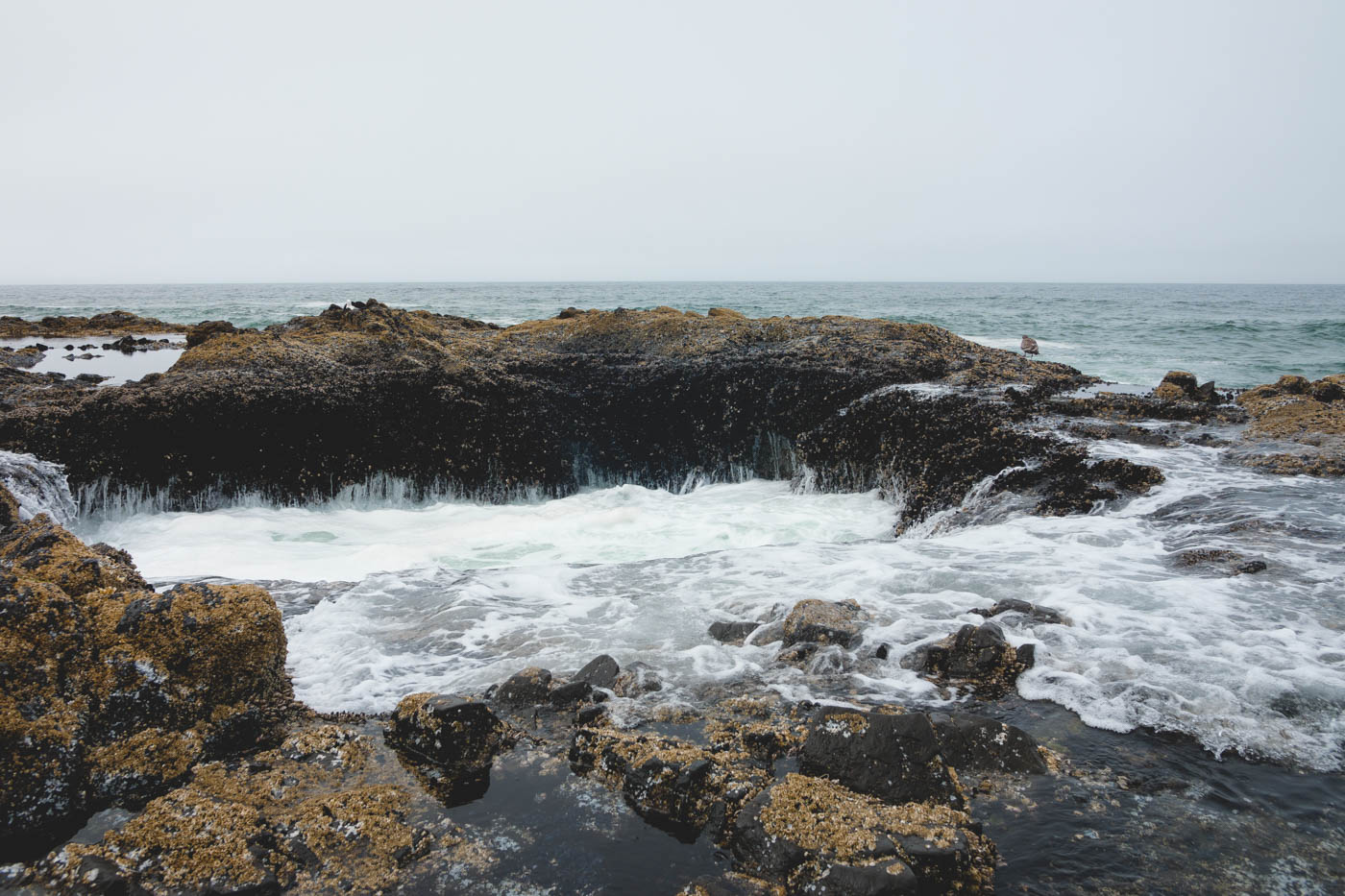 Sea water draining out from Thor's well in Oregon on an overcast day.