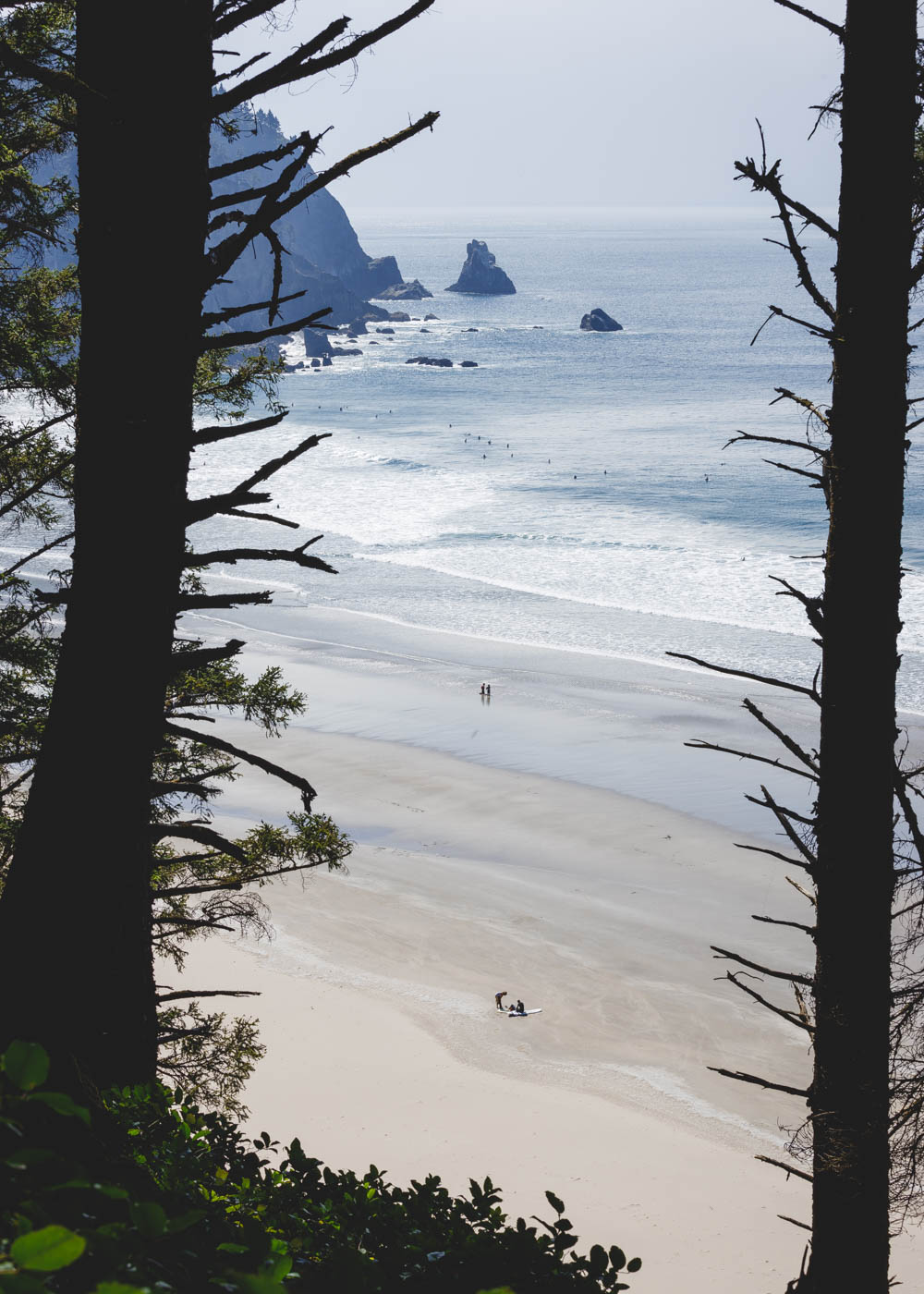 View from the Falcon Trail down to Oswald West State Park beach in Oregon.