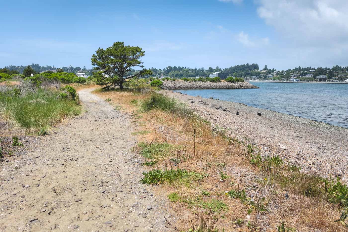 A trail that runs along Yaquina Bay Estuary Trail on a sunny day in Newport.