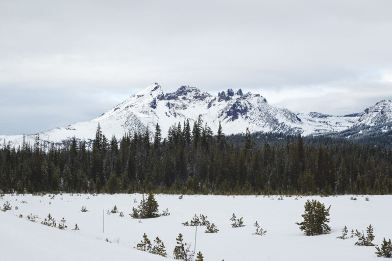 Broken Top mountain covered in snow and framed by a forest on a cloudy day.