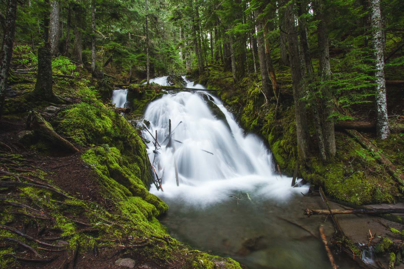 A long exposure of Little Zigzag Falls cascading down over rocks in the middle of a vibrant green jungle in Mt. Hood.