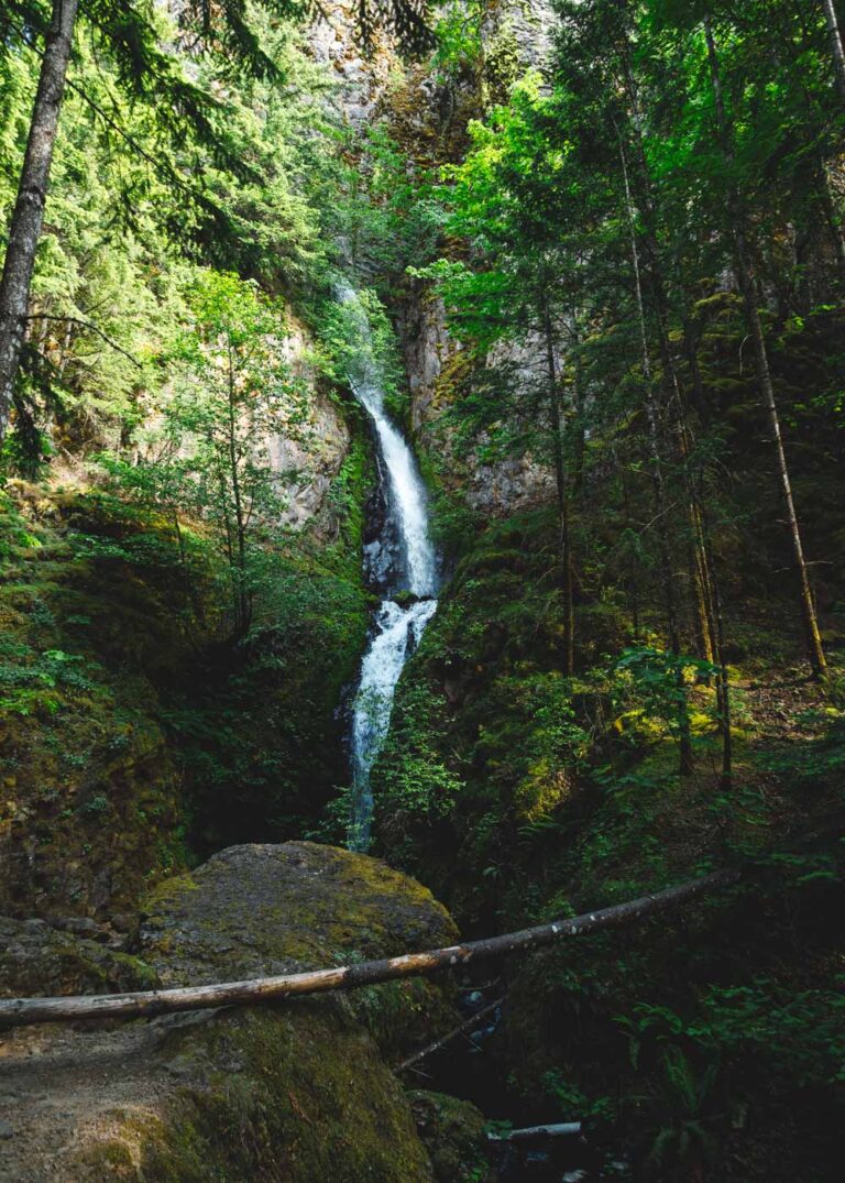 HANDS DOWN - These Are The BEST Columbia River Gorge Hikes