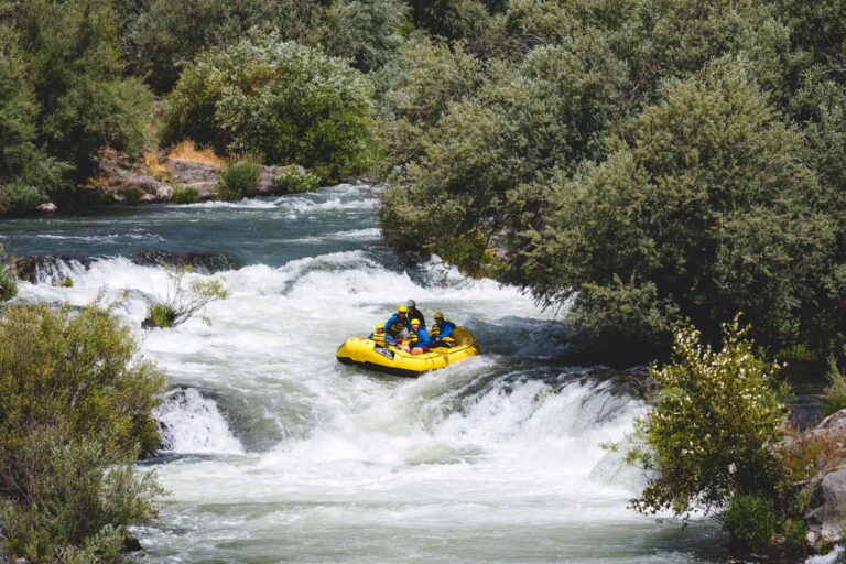Five people in a yellow raft about to plunge down some white water rapids between trees along the Rogue River.