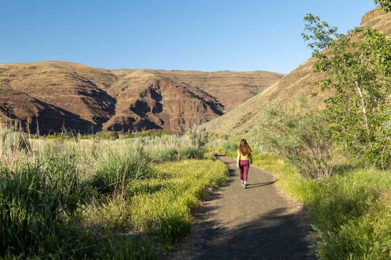 Your Guide to Cottonwood Canyon State Park, Oregon